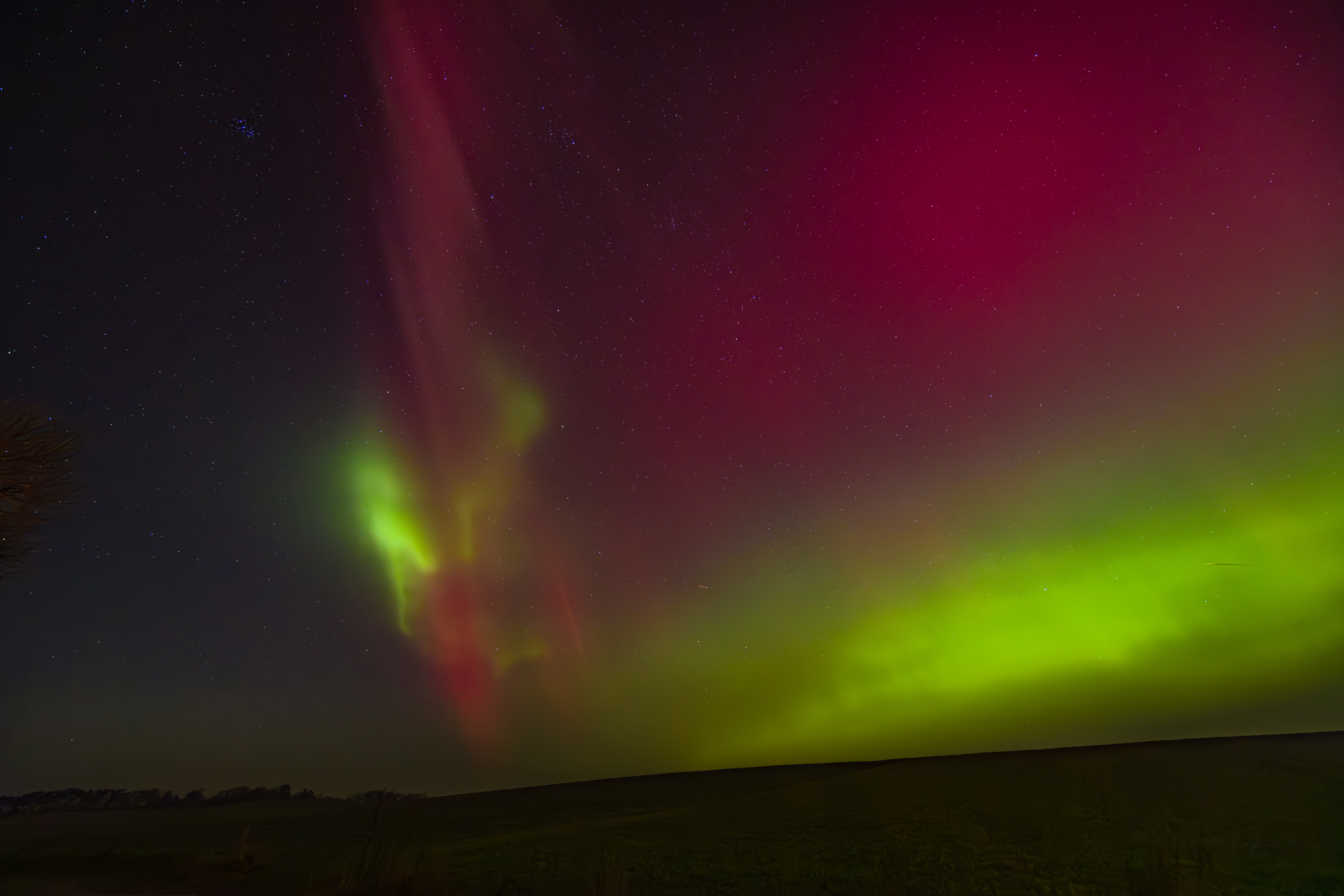 GMR52080 20260119 221524 14 mm 3.2 Sek. bei f   4,0 ISO 3200